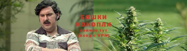 spice Абдулино