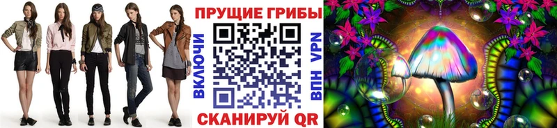 Псилоцибиновые грибы Cubensis  Мосальск 